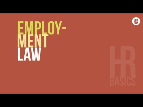 Understanding Employment Legislation in Human Resource Management: A Comprehensive Overview