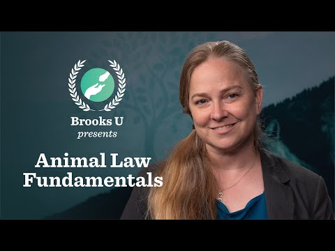 Understanding Welfare of Farmed Animals Regulations: A Comprehensive Overview