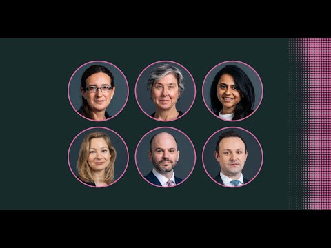 Understanding the Recent SC Court Judgment: Key Insights and Implications