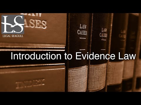 Court Rules on Evidence: Understanding the Basics