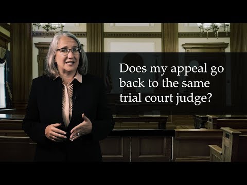 Understanding the Federal Court of Appeal Docket: Everything You Need to Know