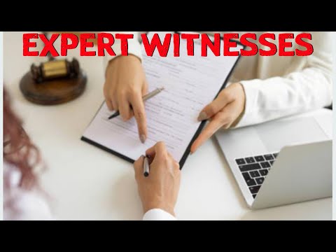 Understanding the Role of Court Experts in Legal Proceedings