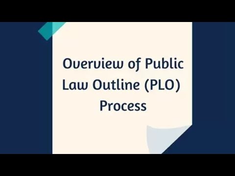 Understanding the PLO Court: Functions and Procedures