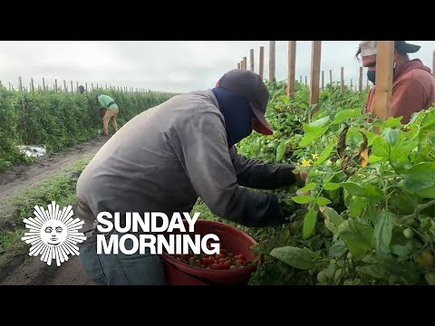 Legislation Impacting Farm Worker Immigration: What You Need to Know
