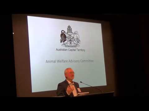 Understanding the Animal Welfare Act and RSPCA: A Comprehensive Overview