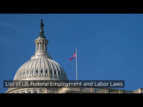 Understanding Federal Employment Laws: Everything You Need to Know