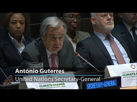 Urgent Call to Action: United Nations Must Act Now