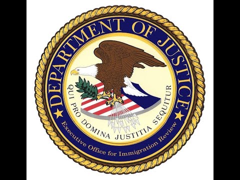 Understanding Immigration Court Transcripts: A Comprehensive Overview