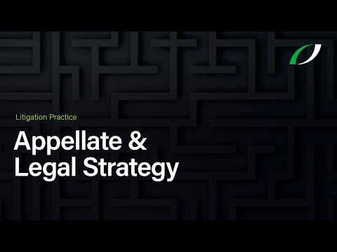Strategic Advocate in Appellate Court Litigation