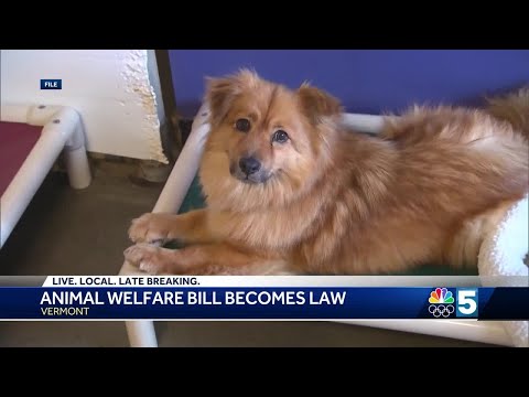 Update on Animal Welfare Legislation: What You Need to Know