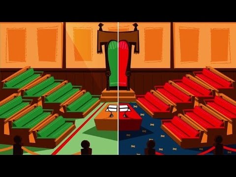 Key Elements of a Political Party Constitution Explained
