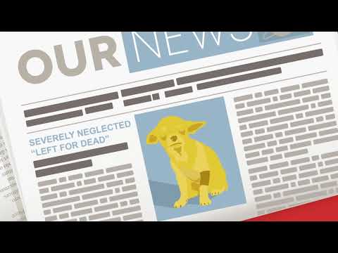Understanding the Animal Welfare Regulations of 2018