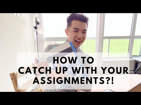 Navigating Court Assignments: Everything You Need to Know