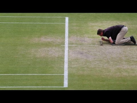 Essential Tips for Maintaining Your Mod Grass Tennis Court