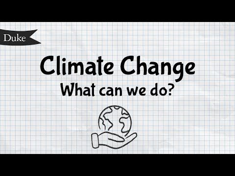 Taking Action for Climate Change: Strategies and Solutions