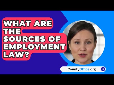 Navigating Government Employment Law: Everything You Need to Know