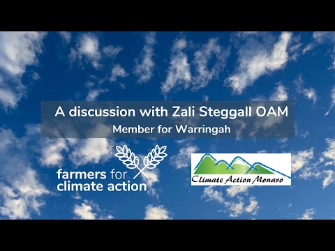 Understanding Zali Steggall's Climate Bill: Implications and Analysis