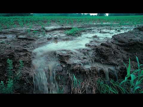Understanding the Clean Water Act and Clean Air Act: Key Regulations Explained