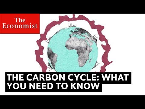 Understanding the Climate Bill: Key Components and Implications