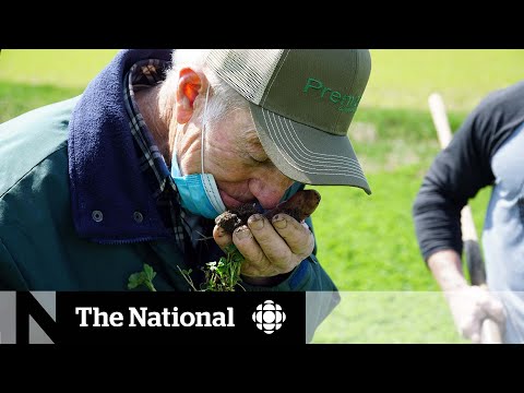 How Farmers Are Taking Action Against Climate Change