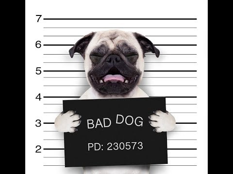How to Conduct a Name-Based Search for Federal Court Records