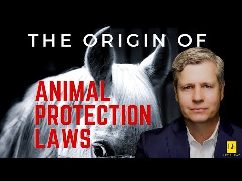 Understanding Animals Excluded from Animal Welfare Act Protection