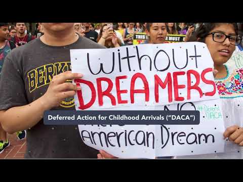 The Basics of Immigration Legislation: An Overview for Individuals and Businesses