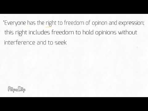 Understanding Article 19 of the Human Rights Act