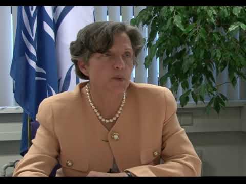 International Criminal Court Hearings Overview and Implications