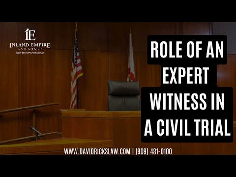 Role of an Expert Witness in Criminal Cases