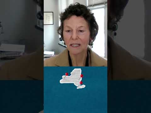 Navigating the New York Court of Appeals: Everything You Need to Know