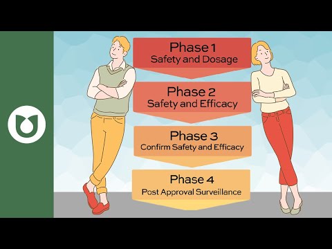 Understanding the Clinical Phases in Drug Development: A Comprehensive Overview