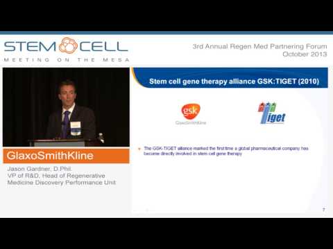 GSK Legal Counsel Role Overview and Responsibilities