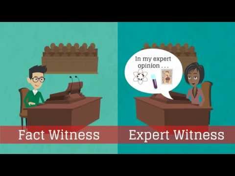 What Does Expert Witness Mean in Legal Contexts?
