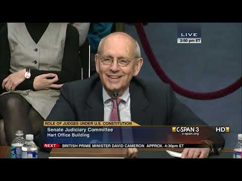Understanding the Role of a Breyer Judge