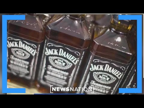 Jack Daniels Bad Spaniels Trademark Controversy Analysis