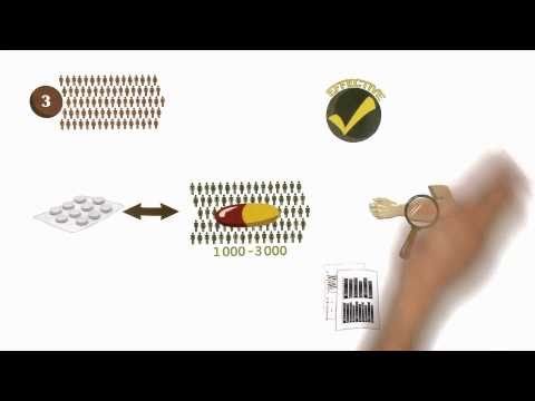 Key Stages of Drug Testing: A Comprehensive Overview