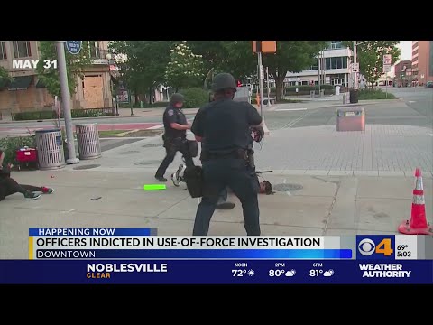 Comprehensive Analysis of Case Law on Police Use of Force