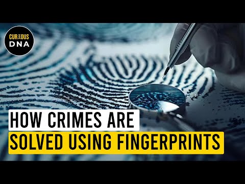 Fingerprint Evidence in Criminal Investigations and Legal Proceedings