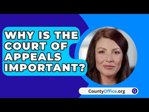 Key Facts About the 14 Court of Appeals You Need to Know