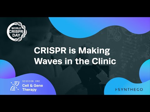 Excision Biotherapeutics EBT-101 Overview and Applications in Gene Therapy