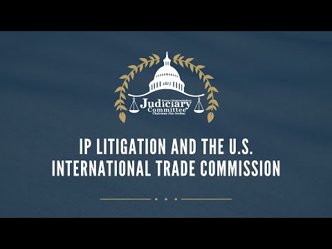 Central Intellectual Property and International Trade Court: Key Information and Insights