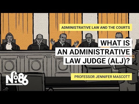 The Role of Administrative Processes in Administrative Law