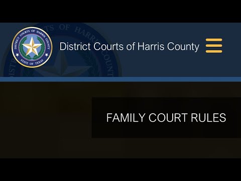 Key Details about the 309th District Court