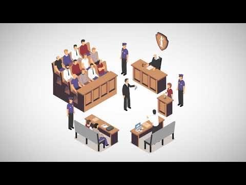 Evidence Strategies for Civil and Criminal Cases