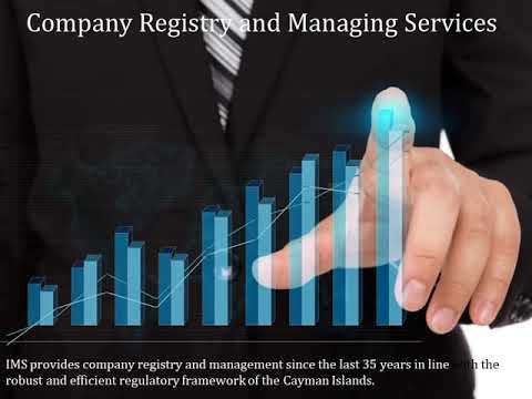 Expert Consultation Services for Business Legal Matters