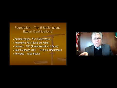 Comprehensive Overview of Expert Witness Case Law Principles
