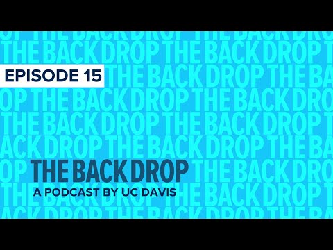 Ultimate Guide to Supreme Court Dobbs Ruling