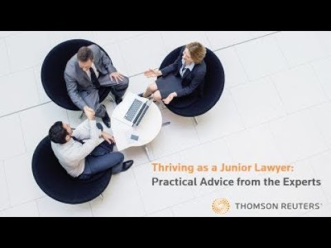 Career Path and Responsibilities of a Junior Counsel
