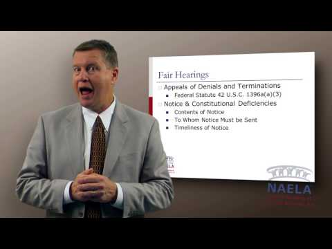 Elder Law Litigation Strategies and Considerations